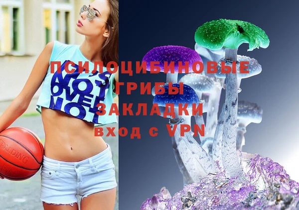 молекула духа Лихославль